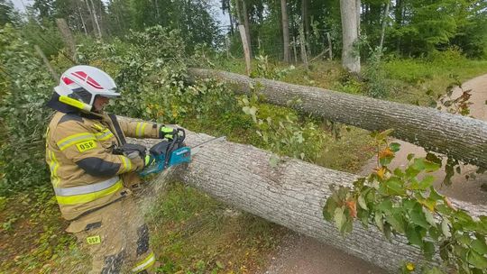 14 interwencji OSP Szypliszki po przejściu frontu atmosferycznego