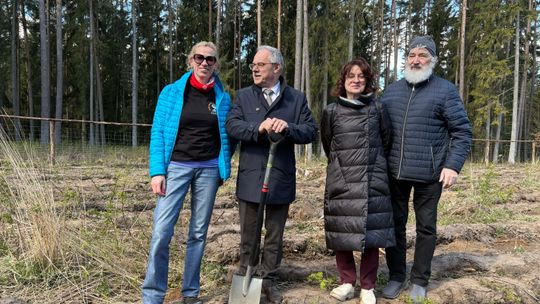 1600 dębów na 35-lecie Radia 5 – wyjątkowa akcja sadzenia drzew w Suwałkach