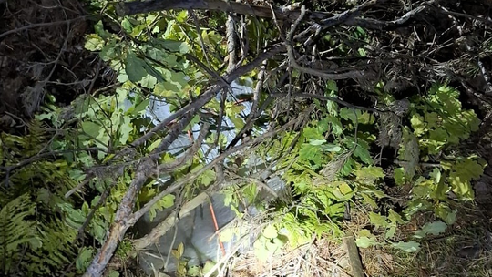 Balony meteorologiczne wykorzystane do przemytu papierosów 🚬🎈 Balony meteorologiczne wykorzystane do przemytu papierosów 🚬🎈