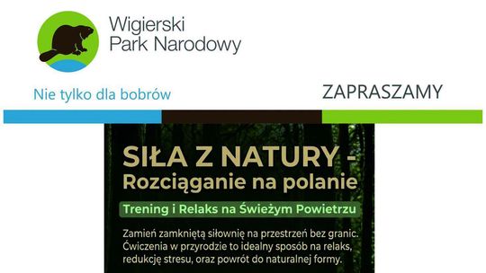 Ćwiczenia, oddech i relaks w naturze. Niedzielne spotkanie w Krzywem