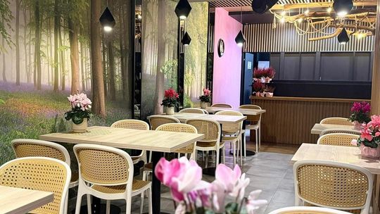 Domowe Smaki na evencie Kobiety Kobietom. Martyna Domysławska wśród wystawczyń Domowe Smaki na evencie Kobiety Kobietom. Martyna Domysławska wśród wystawczyń