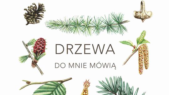 🌳 „Drzewa do mnie mówią” – wyjątkowa wystawa ilustracji w suwalskiej bibliotece 🌳 „Drzewa do mnie mówią” – wyjątkowa wystawa ilustracji w suwalskiej bibliotece