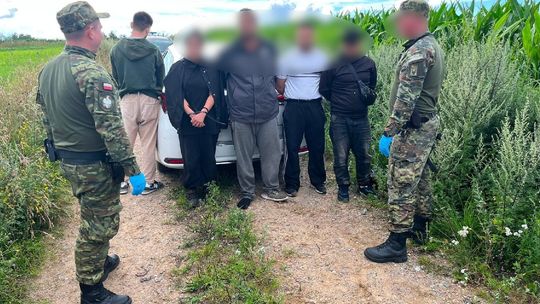 Dwóch kurierów zatrzymanych na Podlasiu. Przewozili 12 migrantów po nielegalnym przekroczeniu granicy
