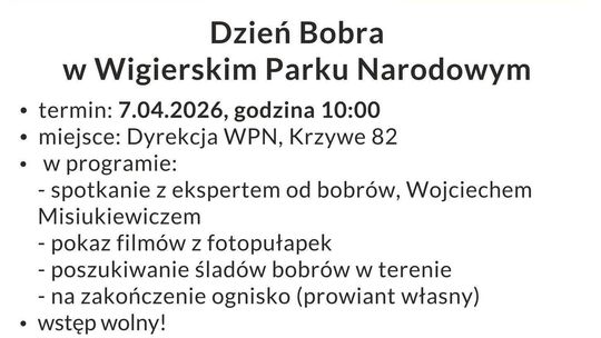 Dzień Bobra w Wigierski Park Narodowy – zaproszenie Dzień Bobra w Wigierski Park Narodowy – zaproszenie