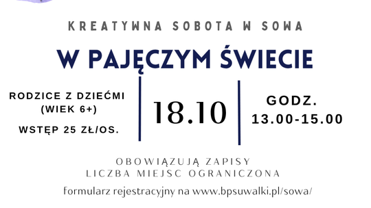 Edukacyjne warsztaty o pająkach w SOWA