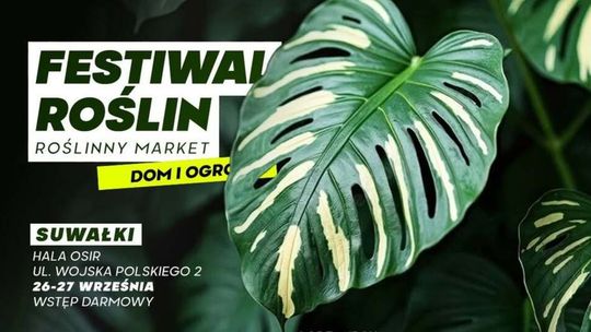Festiwal Roślin już we wrześniu w Suwałkach! Setki roślin, ceny od 5 zł i bezpłatny wstęp