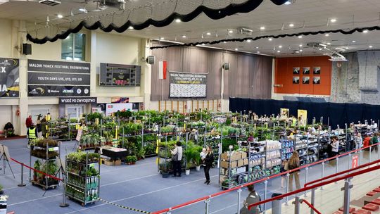 Festiwal Roślin w Suwałkach. Dziś i jutro Hala OSiR zamieni się w zieloną przestrzeń