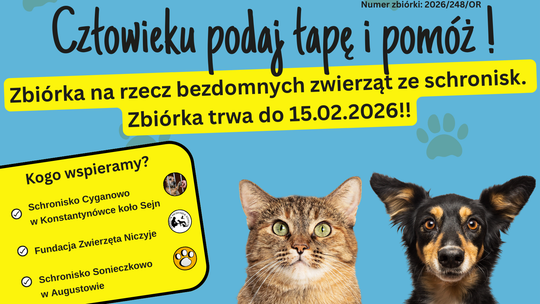 🐾 Gest serca dla bezdomnych zwierząt. Ruszyła zbiórka „Człowieku, podaj łapę i pomóż!”