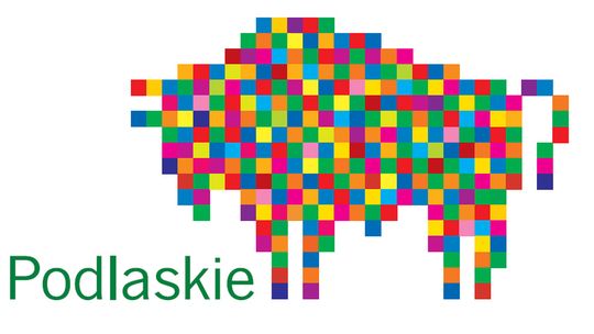 Gmina Raczki z dofinansowaniem. Powstaną nowe stojaki i stacje napraw rowerów