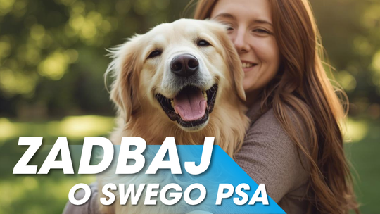 Informacja dla właścicieli psów dotycząca zapobiegania wściekliźnie