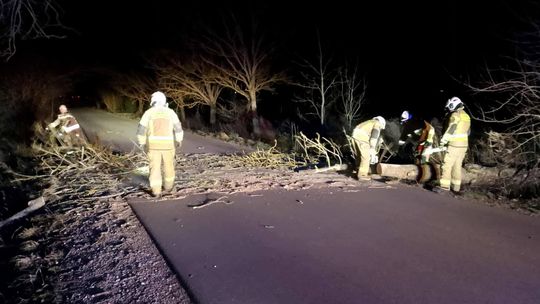 🌲 Interwencja strażaków w Przejmie Małej 🌲