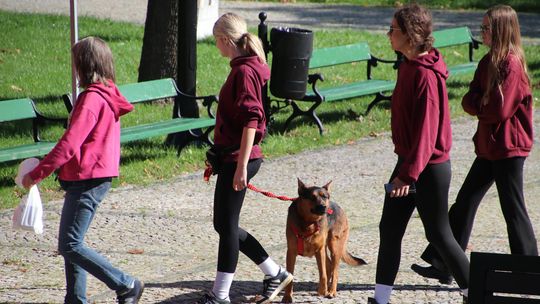IX Wystawa Psów Nierasowych przyciągnęła miłośników czworonogów