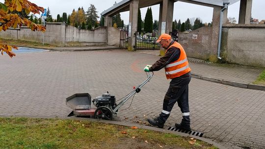 🍂 Jesień w Suwałkach – czas porządków, nasadzeń i przygotowań do zimy 🍂 Jesień w Suwałkach – czas porządków, nasadzeń i przygotowań do zimy