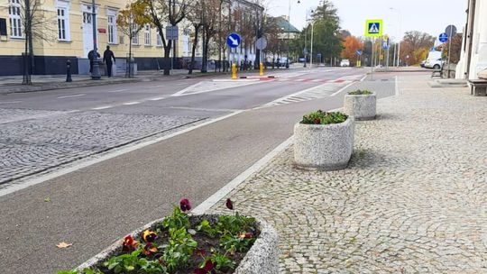 🌸 Jesienne nasadzenia w Suwałkach – 5 tysięcy nowych roślin ozdobnych rozkwita w mieście! 🍂 🌸 Jesienne nasadzenia w Suwałkach – 5 tysięcy nowych roślin ozdobnych rozkwita w mieście! 🍂