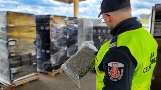 KAS przejęła prawie 40 kilogramów marihuany. Narkotyki ukryto w transporcie wina