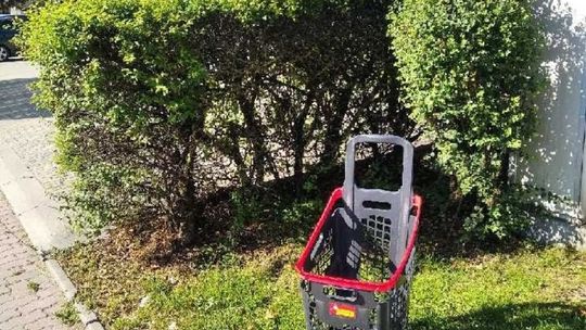 Koszyki sklepowe znikają ze sklepów i trafiają na ulice. Służby apelują do mieszkańców