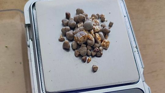 🚨 Kradł w sklepie i miał przy sobie narkotyki – zatrzymanie w Augustowie 🚨 Kradł w sklepie i miał przy sobie narkotyki – zatrzymanie w Augustowie