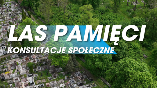 „Las Pamięci” na cmentarzu w Suwałkach? Miasto pyta mieszkańców o zdanie