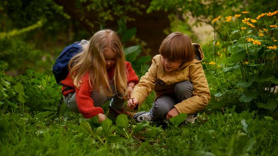 🌿 Letnie półkolonie z Suwalskim Ośrodkiem Kultury. „Cudze chwalicie: poznajmy Wigierski Park Narodowy”