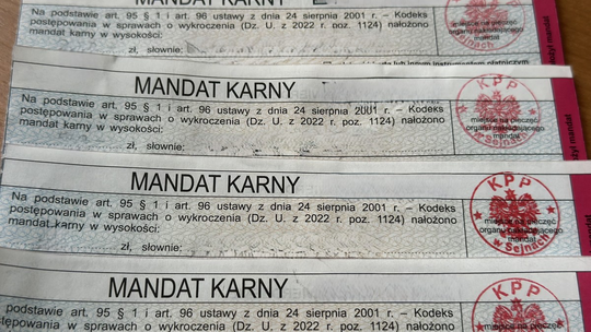 ⚠️ Mandat za nieostrożne trzymanie zwierzęcia ⚠️ Mandat za nieostrożne trzymanie zwierzęcia