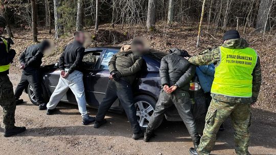 Migranci i kurierzy zatrzymani przy granicy polsko-litewskiej