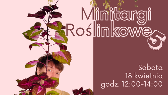 Minitargi Roślinkowe 5 w Bibliotece w Suwałkach Minitargi Roślinkowe 5 w Bibliotece w Suwałkach