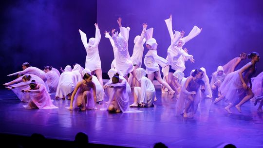 ✨ „Motyle w sieci światła” zachwyciły Suwałki