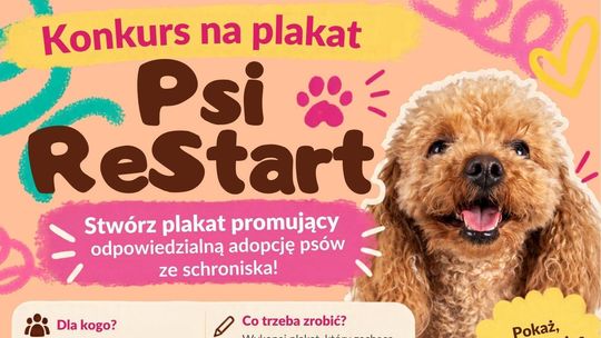 Narysuj plakat i pomóż psom znaleźć dom. Konkurs „Psi ReStart” dla uczniów z Suwałk