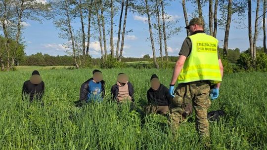 Nielegalnie przekroczyli granicę z Litwy do Polski. Straż Graniczna zatrzymała 8 osób Nielegalnie przekroczyli granicę z Litwy do Polski. Straż Graniczna zatrzymała 8 osób
