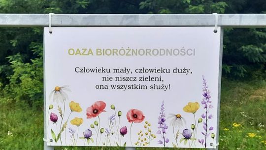 🌿 "Oaza bioróżnorodności" w Suwałkach – wyjątkowe podziękowanie dla pani Alicji Klucznik 🌸