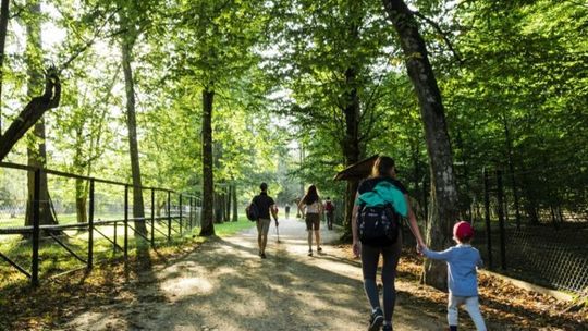 Podlaski Czek Turystyczny wraca. 300 zł dopłaty na pobyt w regionie