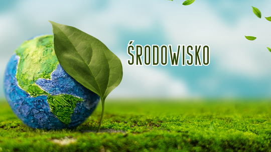 Podlaskie najlepsze w Polsce. Województwo zostało liderem recyklingu