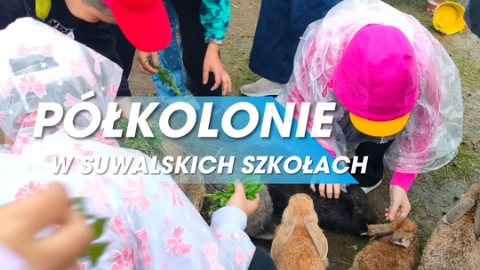 🌞 Półkolonie letnie w suwalskich szkołach podstawowych – podsumowanie wakacji