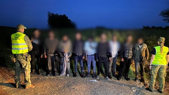 Ponad 30 migrantów i 3 kurierów zatrzymanych przy granicy polsko-litewskiej. Intensywne działania Straży Granicznej 🚔