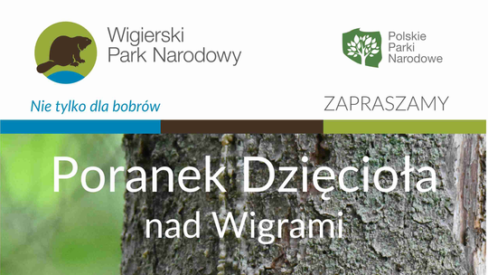 „Poranek Dzięcioła” nad Wigrami. Wiosenne spotkanie z przyrodą „Poranek Dzięcioła” nad Wigrami. Wiosenne spotkanie z przyrodą