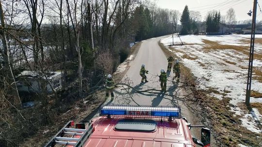 Powalone drzewo w Przejmie Wysokiej. Interweniowała OSP Szypliszki Powalone drzewo w Przejmie Wysokiej. Interweniowała OSP Szypliszki
