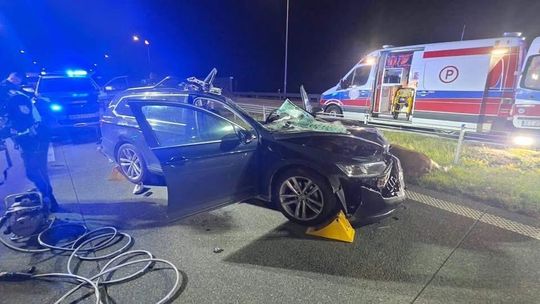 Poważny wypadek na S-61. Samochód zderzył się z łosiem. Dwie osoby ciężko ranne