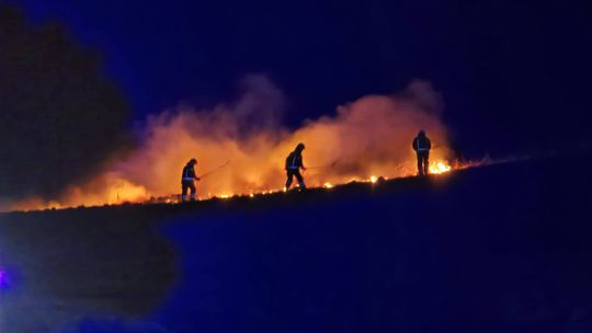 Pożar traw w Filipowie Drugim. Szybka interwencja strażaków Pożar traw w Filipowie Drugim. Szybka interwencja strażaków
