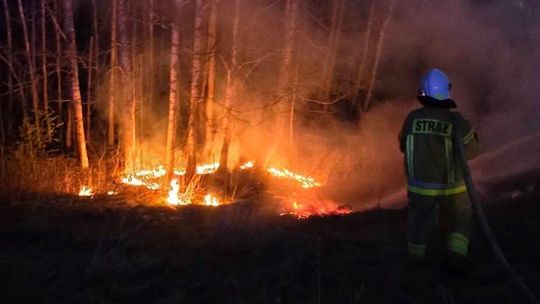 Pożar traw w miejscowości Turówka Stara 🚨