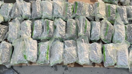 🚨 Przemyt w Suwałkach! Funkcjonariusze KAS przechwycili ponad 12,5 kg narkotyków!