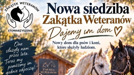Psy i konie po służbie potrzebują pomocy. „Zakątek Weteranów” zbiera pieniądze na nową siedzibę
