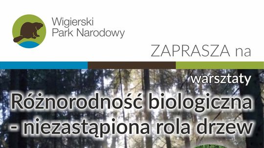🌿 Rodzinne warsztaty w Muzeum Wigier – „Obrazy z mchu” już 18 października 🍃