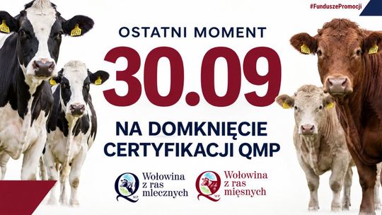 Rolnicy muszą pamiętać o certyfikacie QMP. Zostało niewiele czasu