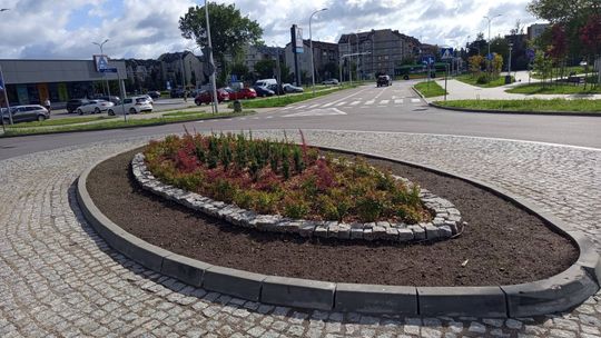 Rondo przy ul. Daszyńskiego zyskało nowe oblicze. Beton zastąpiła zieleń