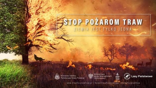 Ruszyła kampania „Stop Pożarom Traw”. Strażacy ostrzegają przed wypalaniem 🚒🔥