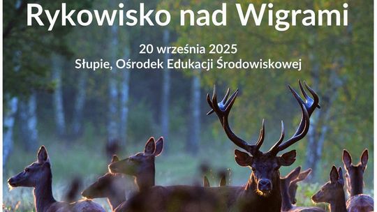 🦌 Rykowisko nad Wigrami 2025 – niezwykłe spotkanie z przyrodą 🌲🌌 🦌 Rykowisko nad Wigrami 2025 – niezwykłe spotkanie z przyrodą 🌲🌌
