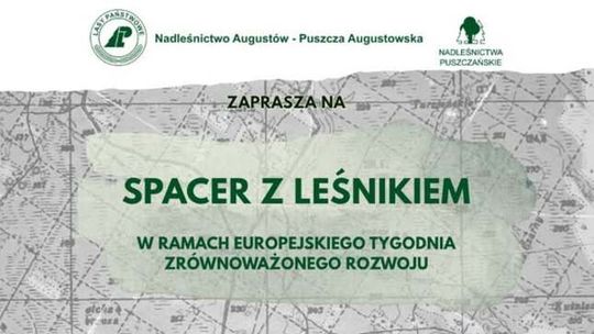 Spacer z leśnikiem w Puszczy Augustowskiej. Będzie okazja do rozmowy przy ognisku