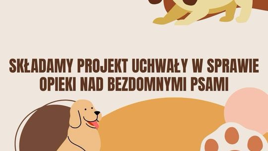 Suwałki chcą wspierać adopcję psów – nowelizacja programu opieki nad zwierzętami
