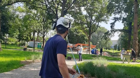 🌳 Suwałki: test obciążeniowy drzewa w Parku Sensorycznym
