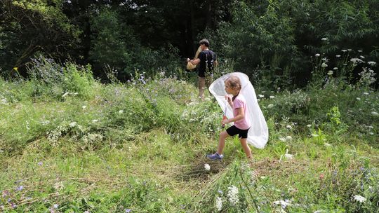 Suwalski Park Krajobrazowy zamienił się w królestwo motyli Wyjątkowe spotkanie z ekspertami